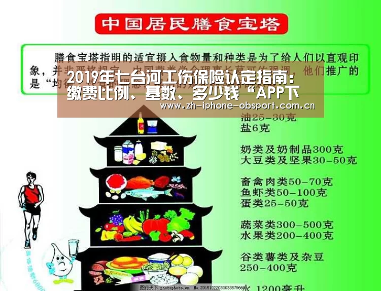 2019年七台河工伤保险认定指南:缴费比例、基数、多少钱“APP下载”(图3) 官方应用