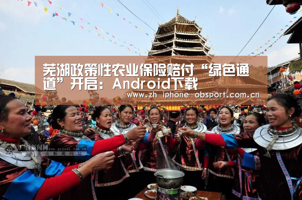 官方应用
