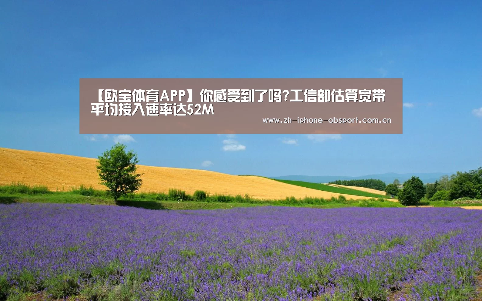 官方应用