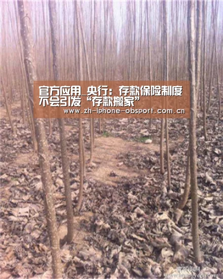 官方应用_央行:存款保险制度不会引发“存款搬家”(图2) APP下载