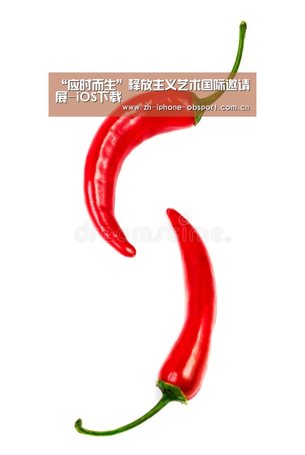 官方应用